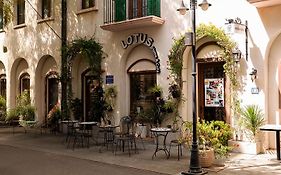 Lotus Home Cafe